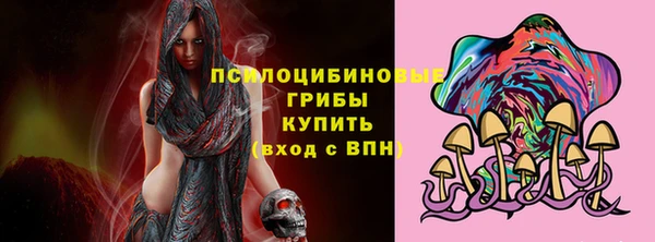 мет Горно-Алтайск