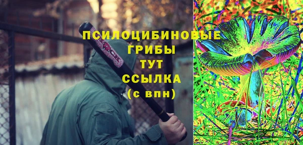 прущий лед Горняк