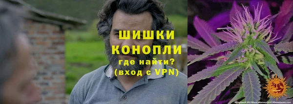 прущий лед Горняк