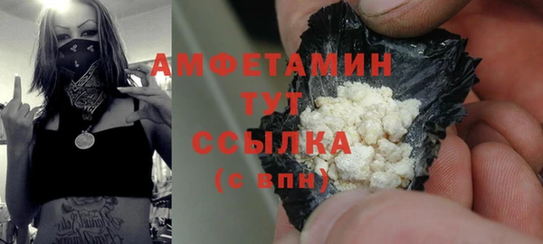 прущий лед Горняк