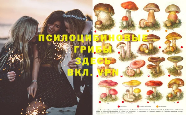 прущий лед Горняк