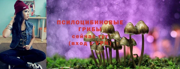кокаин премиум Горнозаводск