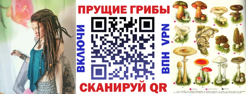 Купить  Санкт-Петербург  Псилоцибиновые грибы мицелий 